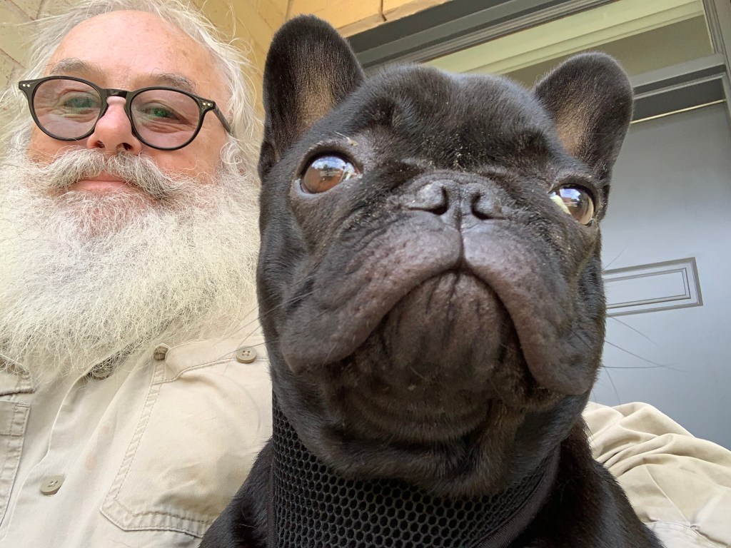 :uke Dogwalker with a French Bulldog